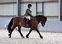 Novice27102