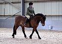 Novice27107
