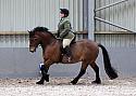 Novice27109