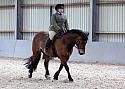 Novice27111