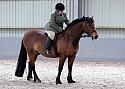 Novice27112