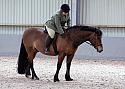 Novice27113