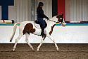 Novice 1