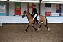 Novice5001