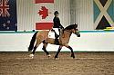 Novice5011