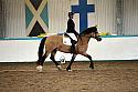 Novice5015