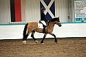 Novice5017