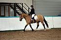 Novice5029