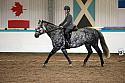 Novice5039
