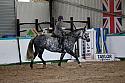 Novice5049