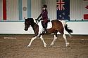 Novice5077