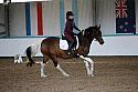 Novice5080