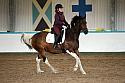 Novice5083