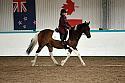Novice5088
