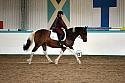 Novice5093