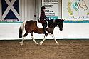 Novice5097