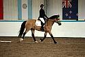Novice6007
