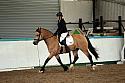 Novice6015