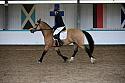 Novice6016