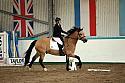 Novice6019
