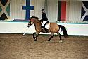 Novice6026
