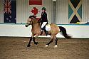 Novice6028