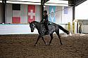Novice6037
