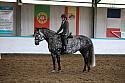 Novice6039