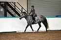 Novice6048