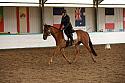 Novice1001