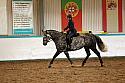 Novice1067