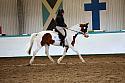 Novice1122