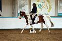 Novice1125