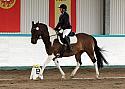 Novice 24012
