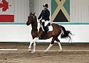 Novice 24013