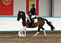 Novice 24017