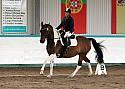 Novice 24018