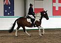 Novice 24020