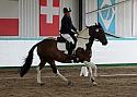 Novice 24021