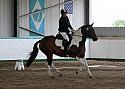 Novice 24022