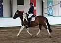 Novice 24026