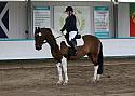 Novice 24029