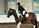Novice 24030