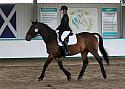 Novice 24037