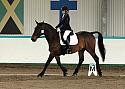 Novice 24039