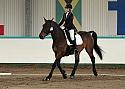 Novice 24040