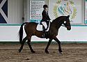 Novice 24041