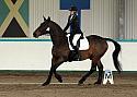 Novice 24044