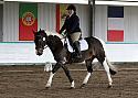 Novice 24062