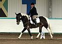 Novice 24067
